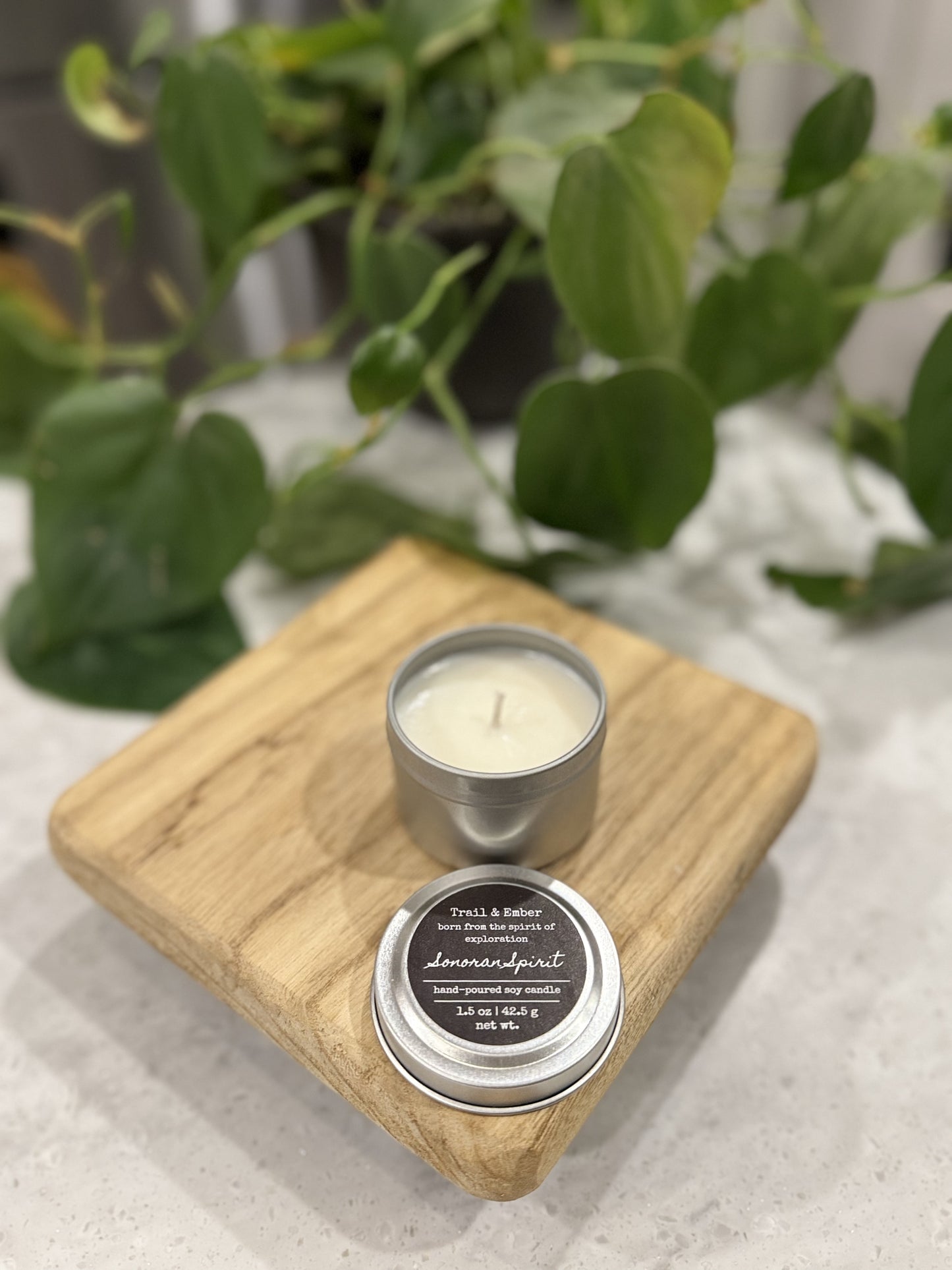 Sampler -- Trail & Ember — Sonoran Spirit: Cactus Flower + Jade Soy Candle